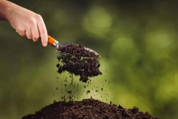 有机肥和无机肥有什么区别？